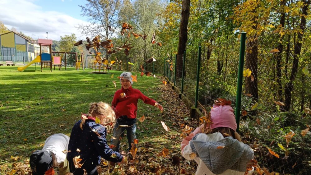 20bc0747-845d-4568-962e-20a222bc14d7