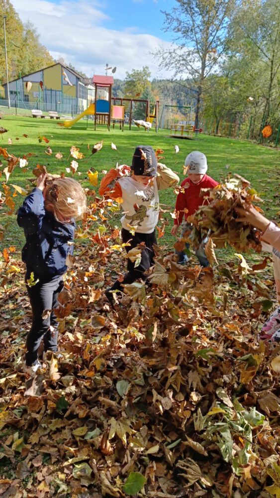 30e60208-e6b6-4a40-b835-0ffbbea86f59