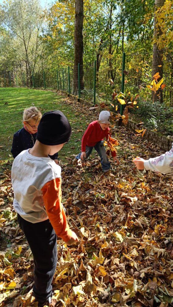 3d2285e6-1ff0-4e83-93fe-6311e228953a