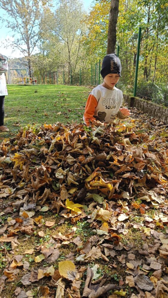 47e25d75-20d9-4192-a93a-4a554f98d2dd