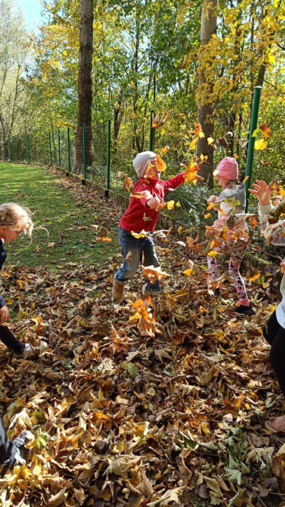 4c7ce0df-c26f-4725-a2ec-7233510977a8