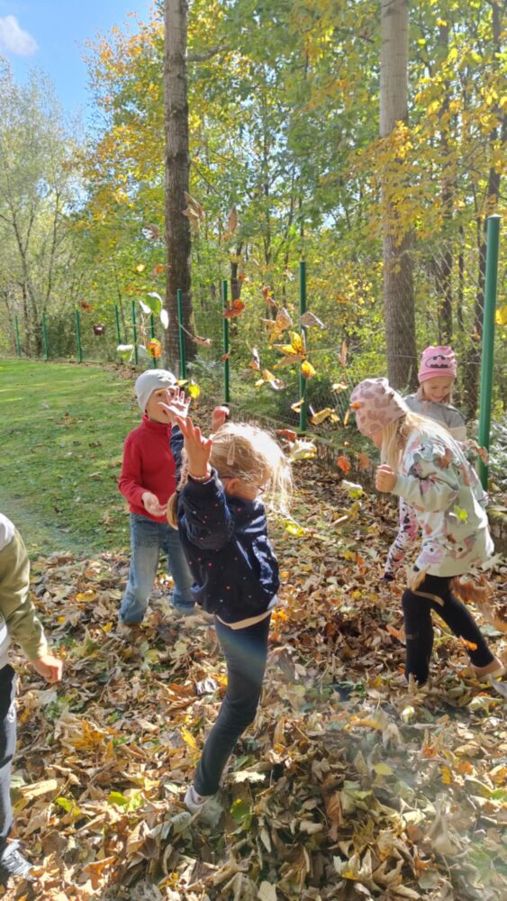 54af4103-7aa1-4a2f-8db4-56617b1f482b