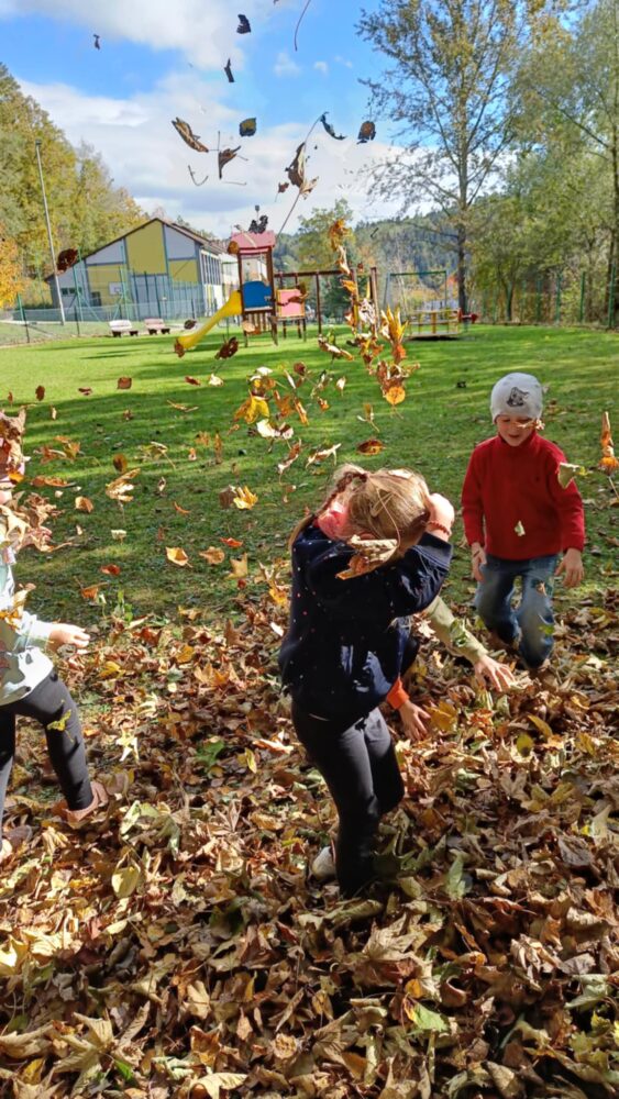 64880f31-e2b4-49e0-8eb0-aafea8cca5db