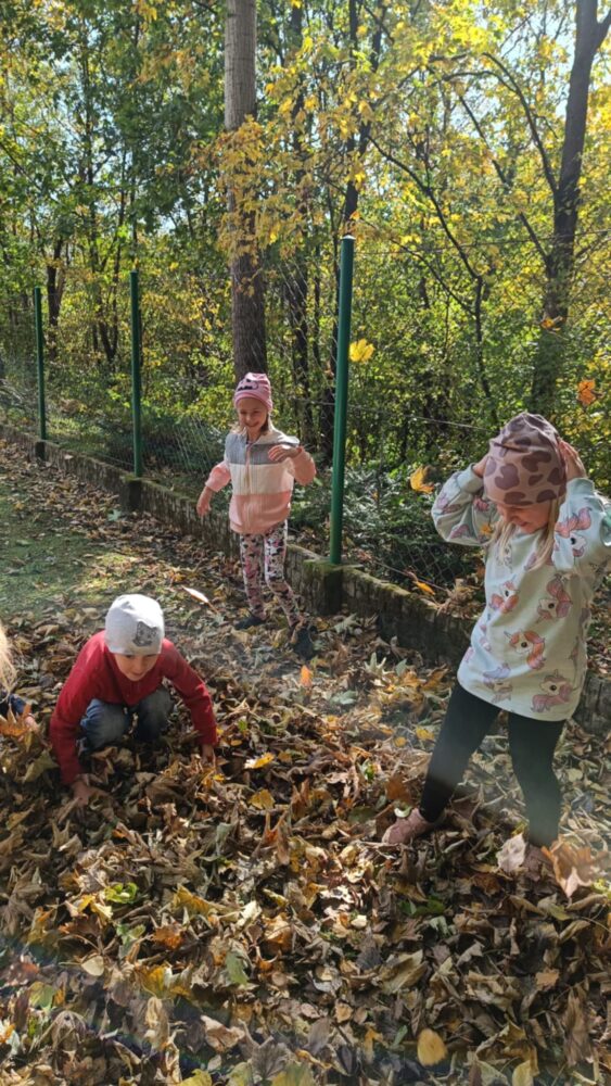 9d416efe-c605-4d16-a501-537ed4c16211