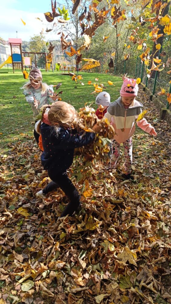 b5ba3845-f609-4c6a-8a98-4fe4e82cbaf1