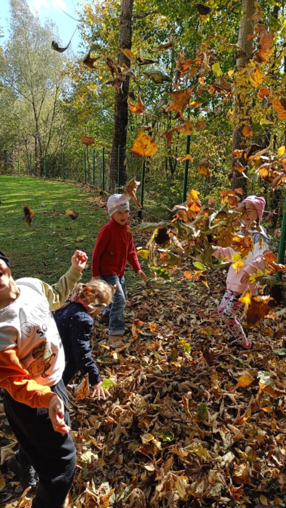 de2df08e-3f55-4452-9e0a-478a8ef17295