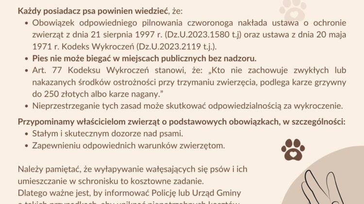 Błąkające się psy – reaguj!