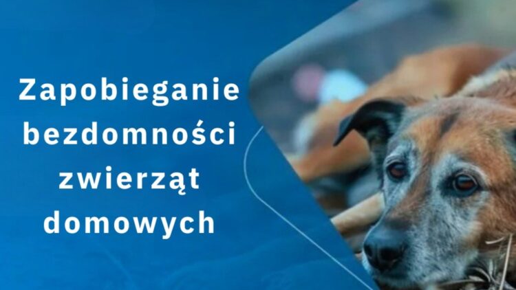 Dbamy o naszych braci mniejszych!
