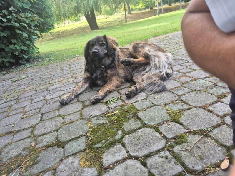 Zdjęcie WhatsApp 2025-09-05 o 07 08 31_845e6182