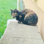 564069932_1094506146178383_3530848318715685131_n