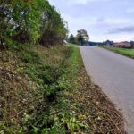 565114489_1096933899268941_3072839524387421067_n