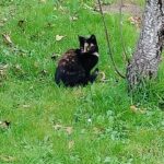 565308153_1094506126178385_5910286313871386844_n