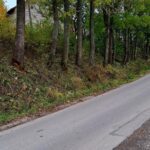 565640573_1096933865935611_402726114650593064_n