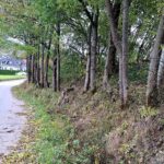 565647006_1096933962602268_359791513356972484_n