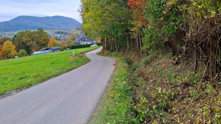 Na Turkówce wykonano prace przy kompleksowym odkrzaczaniu poboczy drogi gminnej