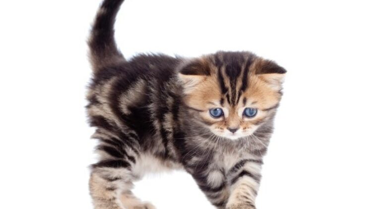 Apel do mieszkańców Gminy Iwonicz-Zdrój 