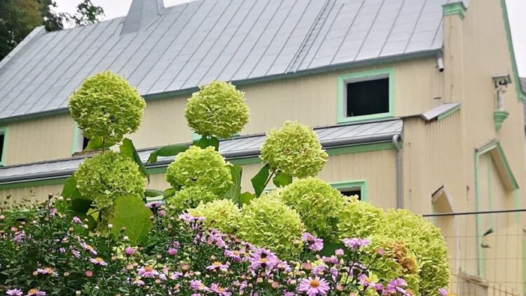 Zaproszenie na uroczyste zakończenie projektu!