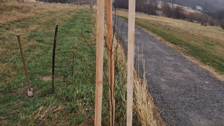 Wzbogacamy przyrodę Podkarpacia