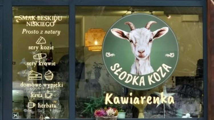 Kolejny certyfikat wręczony!