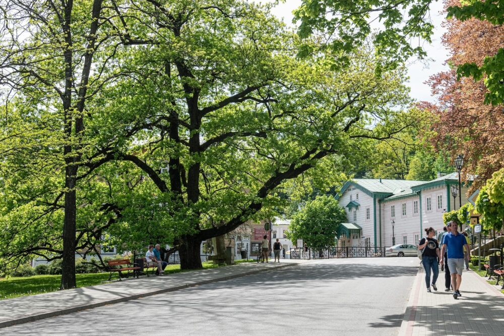 595234687_1134612682167729_8759105061545046845_n