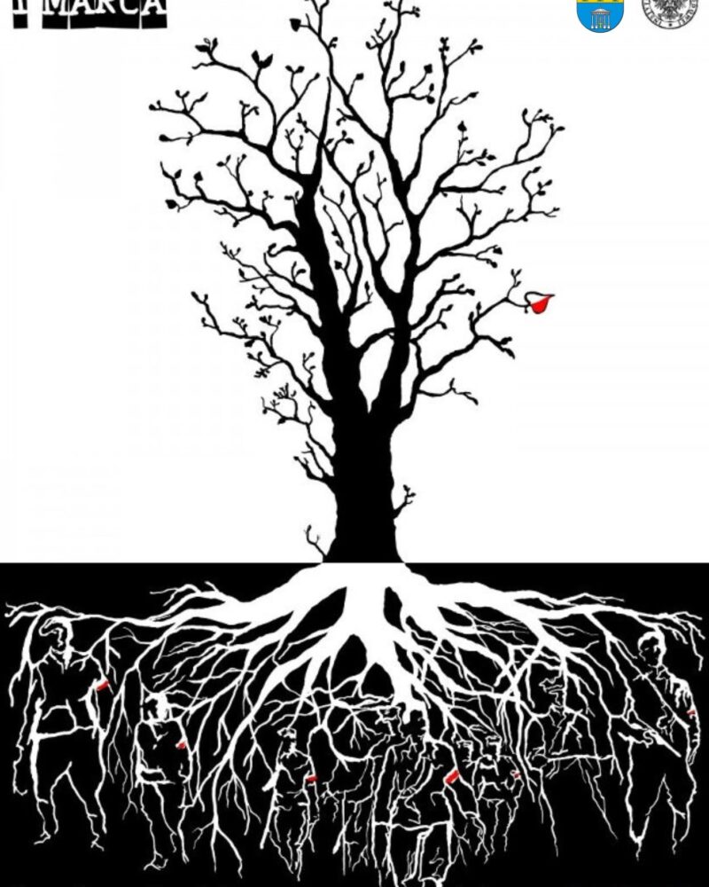 645265318_1196952345933762_8627955193889732998_n