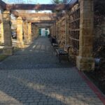 649171550_1206212345007762_6182533001348213392_n