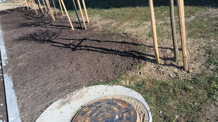 Wiosna w naszych miejscowościach czuć już na każdym kroku!