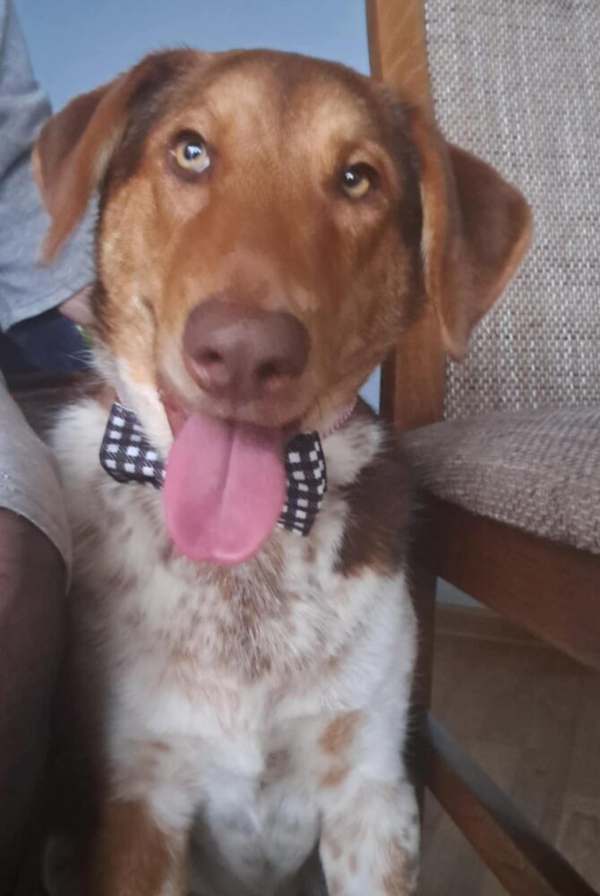 Messenger_creation_0B0B5395-A3DE-43BD-8D92-F7F64B91D80B