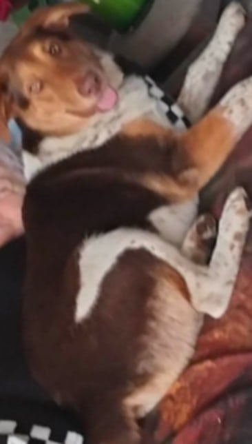 Messenger_creation_AF89F205-E9D2-4A2D-806F-C5D9E34D2EEC