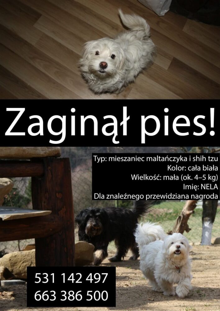 669993143_1232006399095023_6287442385327030768_n