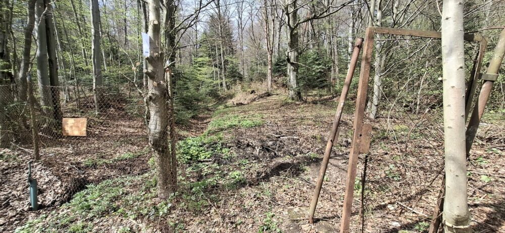 679088333_1237377218557941_8331369470362230054_n