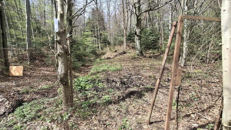 Pięknieje nasze uzdrowisko!