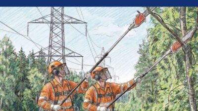 Wykonywanie wycinek pod liniami energetycznymi
